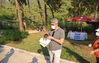 Marmaris Belediyesi Geçici Hayvan Bakımevi yangından...