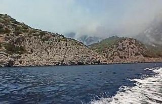 Marmaris yangını Domuz Koyu’na sıçradı