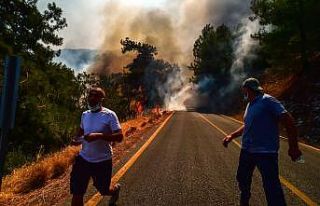 Marmaris’te alevler bir anda yükseldi