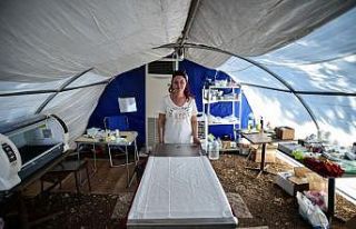 Marmaris’te yangında zarar gören hayvanların...