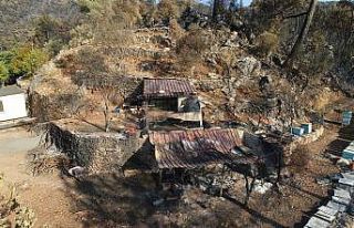 Marmaris’te yangından geriye kalanlar: Yeşilliklerin...