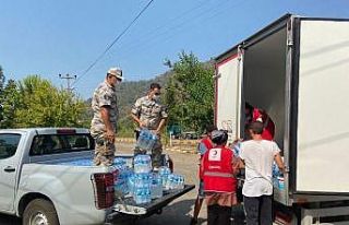 Mehmetçik, yangın alanlarına müdahaleye ve vatandaşlara...