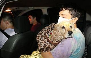 Meriç Köprüsü’nden atlayan köpeği için nehre...