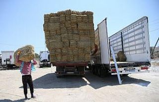 Merkezefendi Belediyesi, Aydın’daki yangın mağdurları...