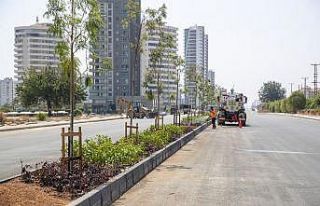 Mersin’de 4. Çevre Yolunda peyzaj çalışmalarına...