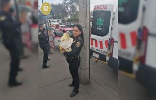 Mexico City’de takside sancısı tutan hamile kadına...
