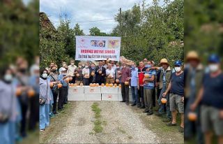 Meyve üreticilerine destek