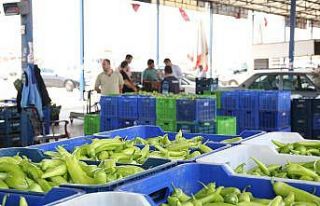 Meyvede 1 yılda miktar düştü fiyat yüzde 108...