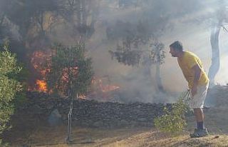 Milas’ta başlayan orman yangını Bodrum’a sıçradı,...