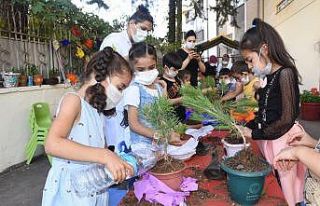 Minik eller fidan dikti