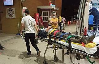 Motosiklet domuz sürüsüne daldı; 1 yaralı