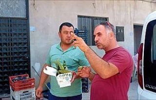 Mudanya Tarım Müdürlüğü, çiftçilere zararlılarla...