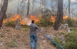 Muğla Seydikemer yangını yeniden başladı