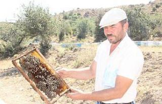 Muğla yangınının ateşi Afyonkarahisar’daki...