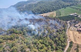 Muğla yangınlarında son durum