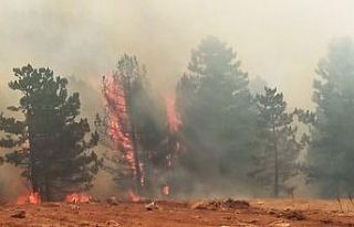 Muğla’da dört ilçede yangınlar devam ediyor