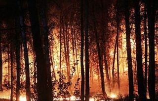 Muğla’da ek yangın tedbirleri