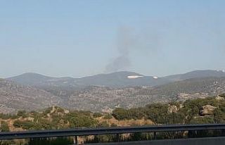 Muğla’da orman yangını