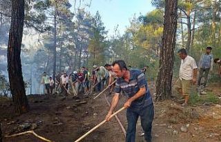 Muğla’daki orman yangını kontrol altına alındı