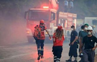 Muğla’daki yangının gizli kahramanları yoğun...