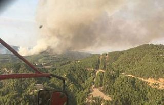 Muğla’daki yangınlara bir yenisi daha eklendi