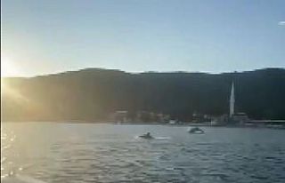 Müsilajdan temizlenen Gemlik körfezini yunuslar...