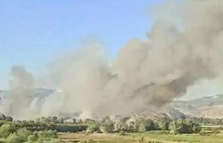 Nallıhan Kuş Cenneti’nde yangın