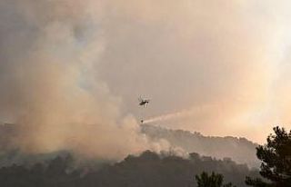 Nazilli’deki yangın kontrol altına alındı