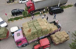 Nazilli’den Manavgat ve Bozdoğan’a yardım eli