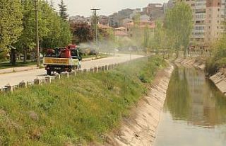 Odunpazarı’nda ilaçlama çalışmaları devam...