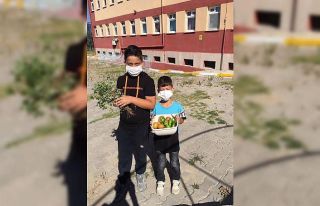 Öğrenciler, yetiştirdikleri ürünleri hasat etti