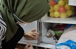 Öğretmenler odasının dolabını açınca şaşkına...