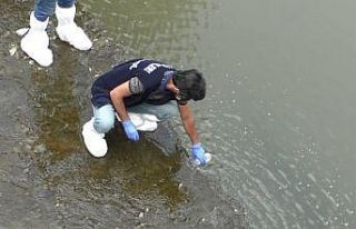Ölü balıklar Tarım ve Orman Müdürlüğü’nü...