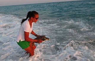 Önceki gün ölen caretta başında ağlamıştı,...