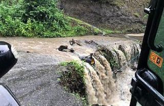 Ordu’da 255 noktada heyelan meydana geldi