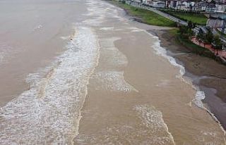 Ordu’da sel sonrası sahil çamura büründü