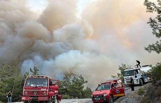 Ören’i aşan alevler Yeniköy Termik Santrali’ne...