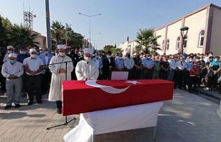 Orman şehidi babasını avukat cübbesiyle ebediyete...