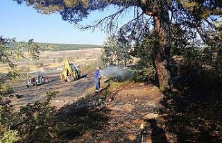 Orman yakınındaki ot yangını kısa sürede söndürüldü