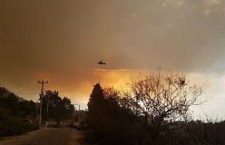 Orman yangını dolayısıyla Kabalar Mahallesi tahliye...