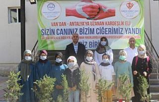 Orman yangını şehitleri anısına fidan bağışı