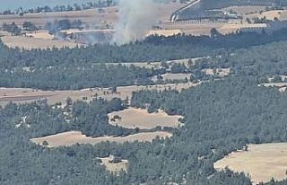 Orman yangını vatandaş ve ekiplerin müdahalesiyle...