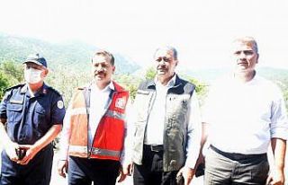 Orman yangınına müdahalede hava desteği arttı