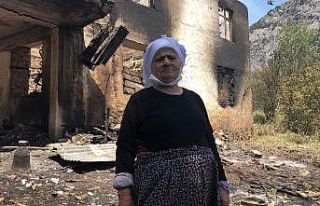 Orman yangınında 64 yıllık hatırası yok oldu