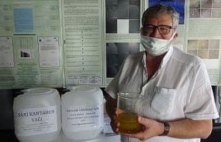 Orman yangınlarında yanarak yaralanan hayvanlara...