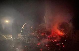 Ormana yıldırım düştü