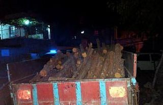 Ormandan ağaç kesen kişiye suçüstü