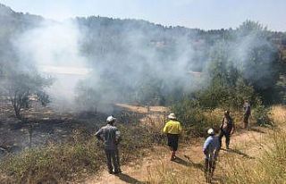 Ormanın bitişiğinde bulunan tarım arazisindeki...