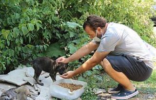 Ormanlara girişler yasaklanınca hayvanlar için...