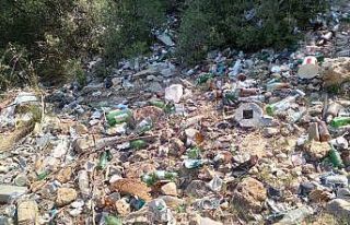 Ormanlarda temizlik seferberliği